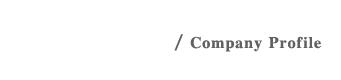 公司簡介